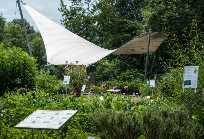 Botanical Garden of the University of Ulm, Germany